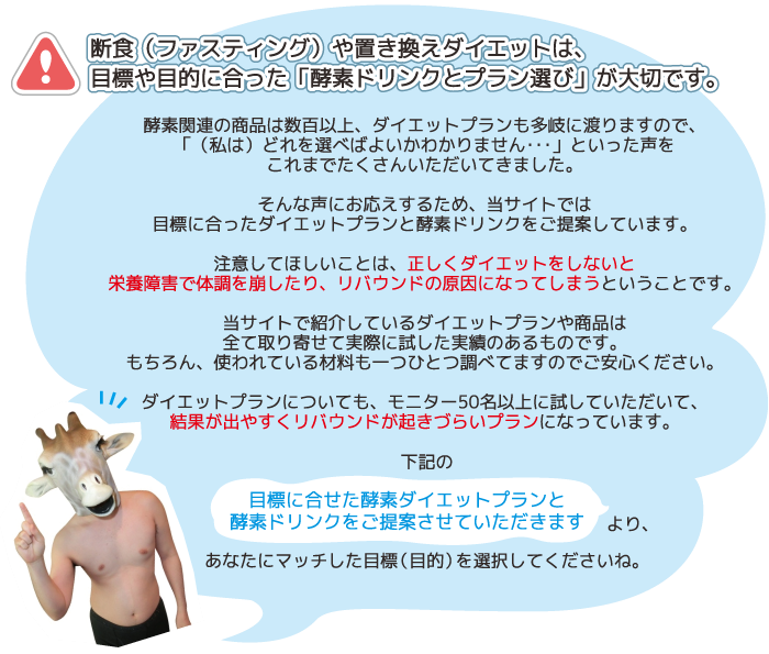 yfhN̐Iѕ