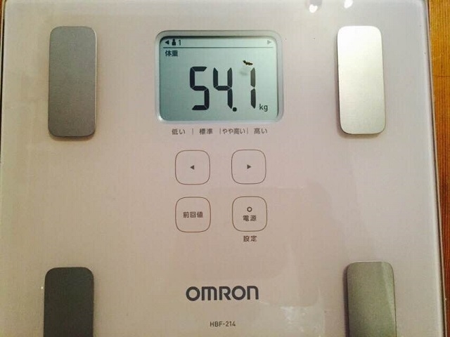 ߂̑̏dω