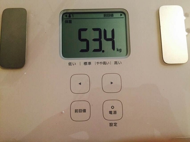 ߂̑̏d