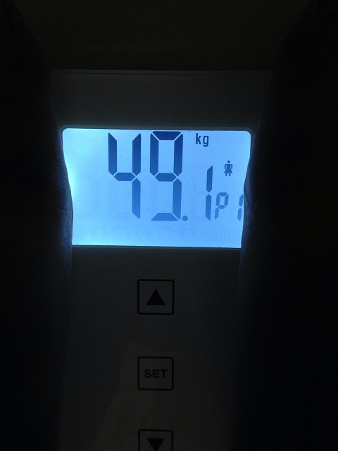 AXJ̑̌k