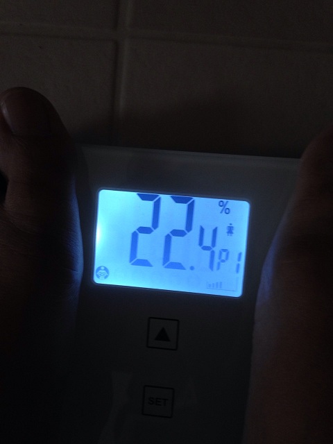 AXJ̑̌k
