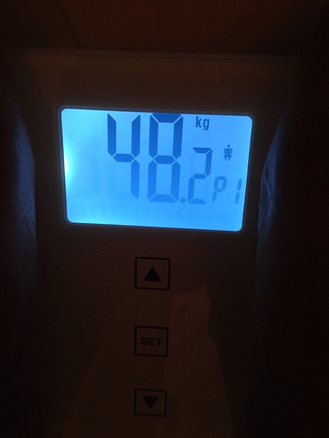 AXJ̑̌k