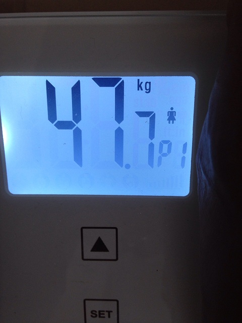 AXJ̑̌k