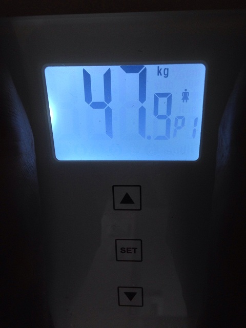 AXJ̑̌k