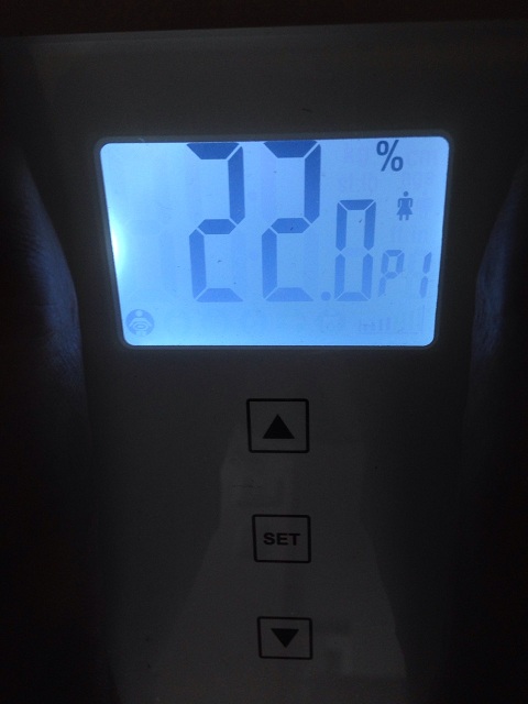 AXJ̑̌k