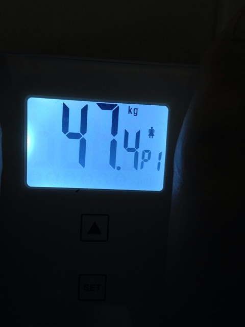 AXJ̑̌k