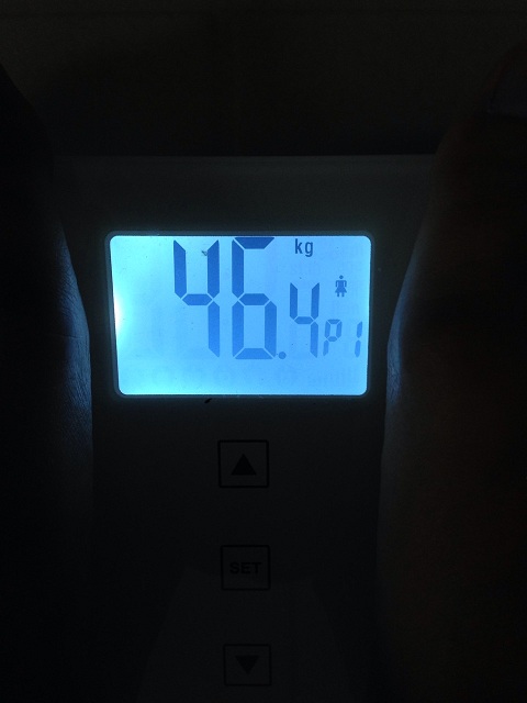 AXJ̑̌k