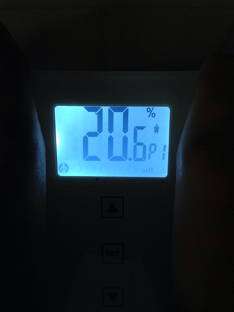 AXJ̑̌k