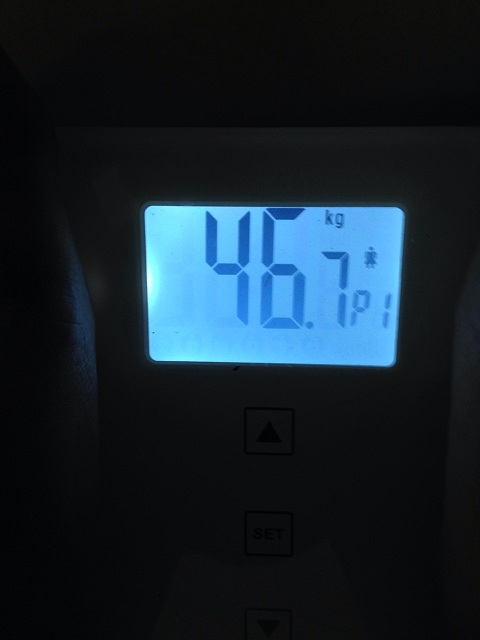 AXJ̑̌k