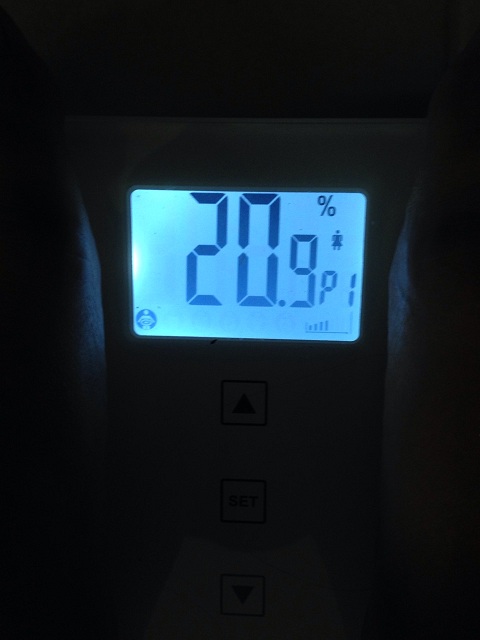 AXJ̑̌k