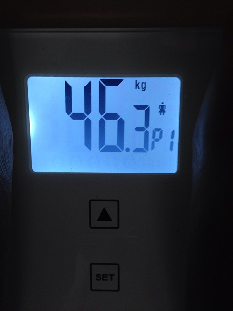 AXJ̑̌k