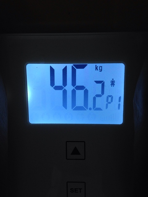AXJ̑̌k