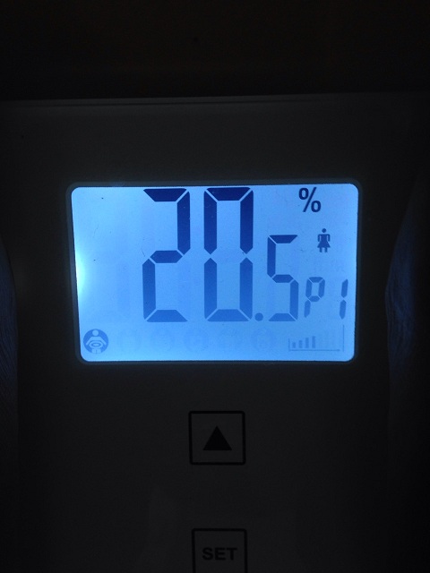 AXJ̑̌k