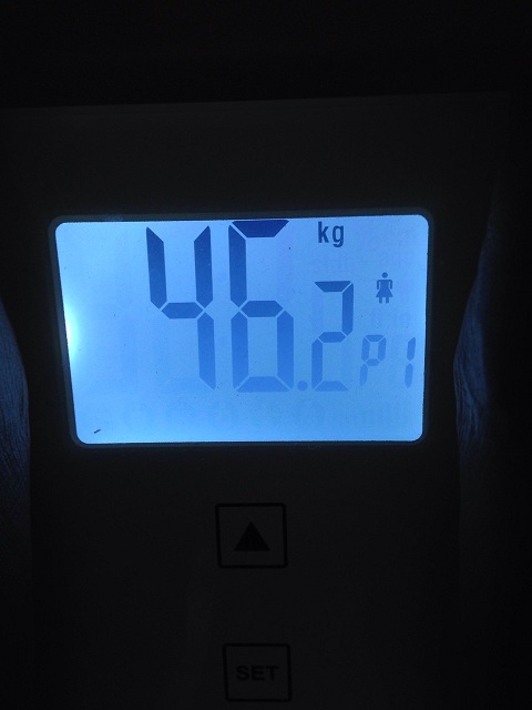 AXJ̑̌k