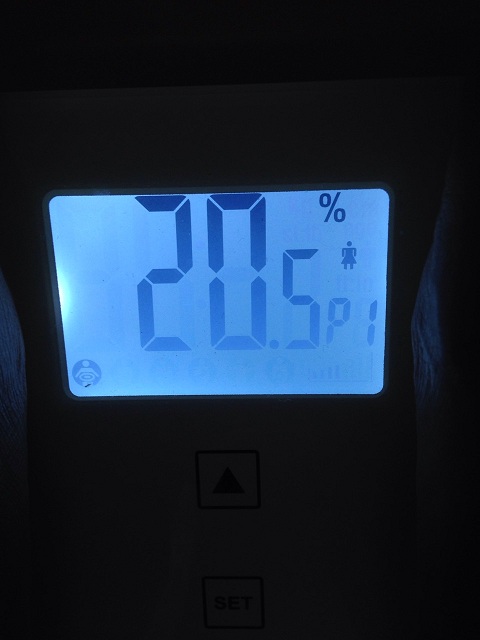 AXJ̑̌k