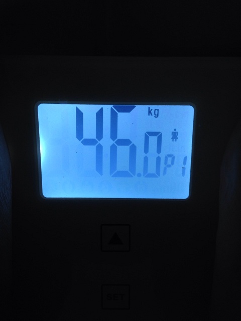 AXJ̑̌k