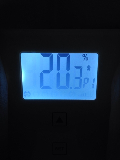 AXJ̑̌k