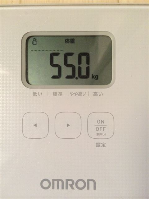 EJ̑̌k