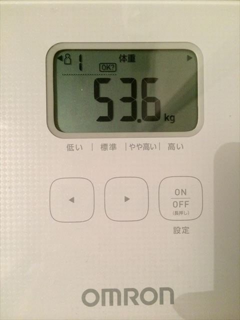 EJ̑̌k