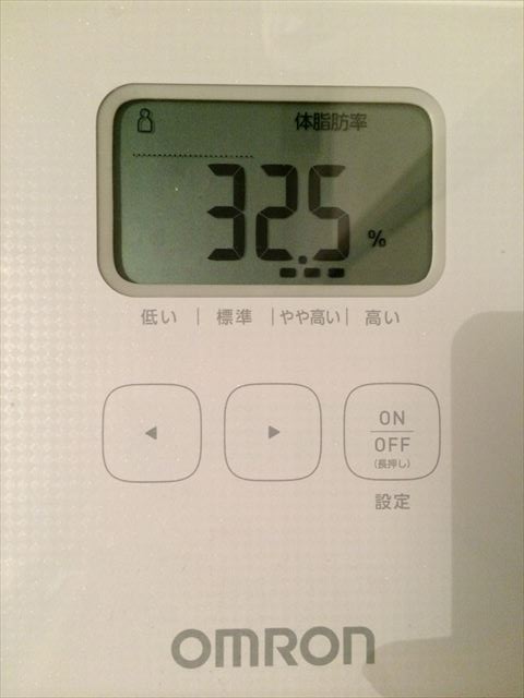 EJ̑̌k