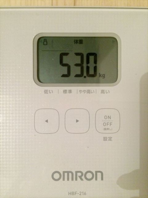 EJ̑̌k