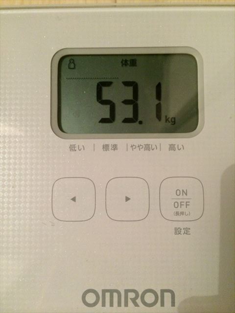EJ̑̌k