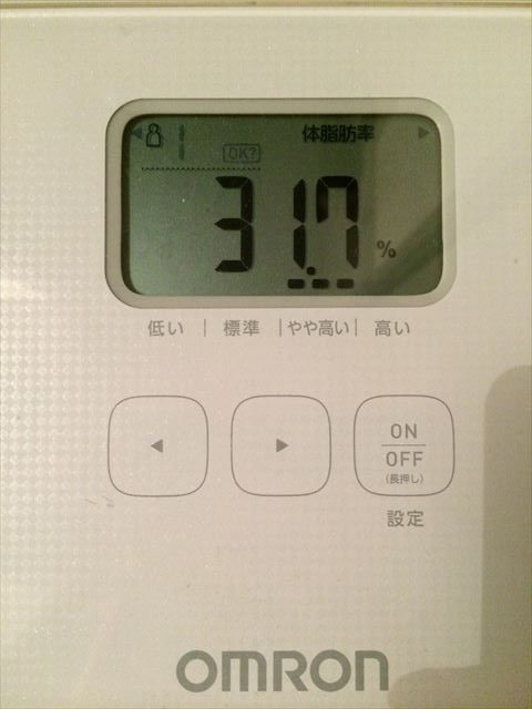 EJ̑̌k