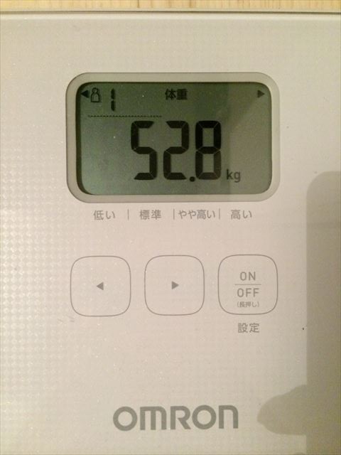 EJ̑̌k