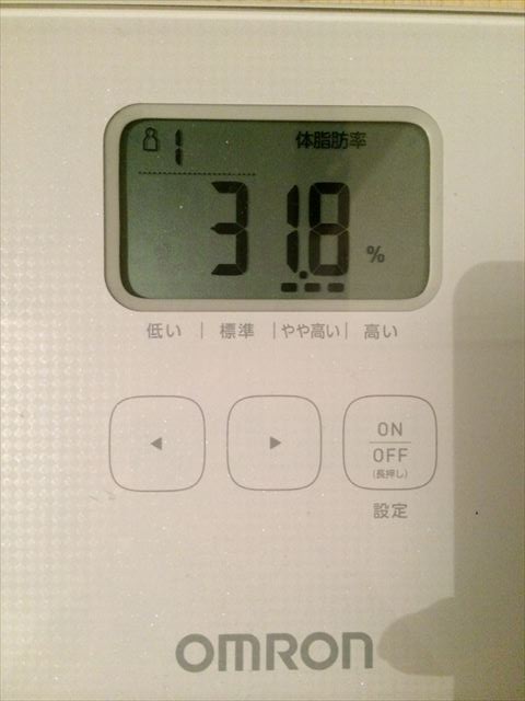 EJ̑̌k