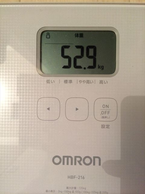 EJ̑̌k