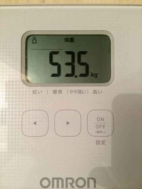 EJ̑̌k