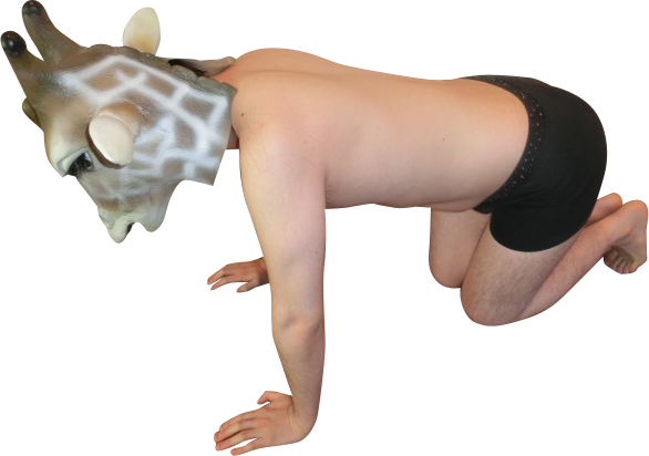 gj[k