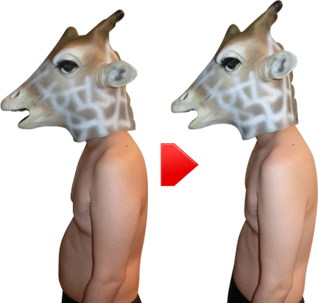 gj[kEƍ̏