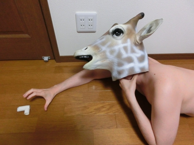 bŋꂵރgj[k