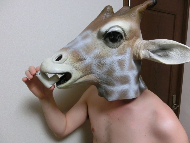 bŋꂵރgj[k
