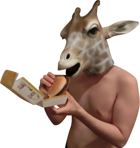 no[K[Hׂgj[k